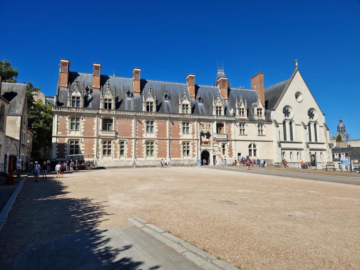 Le Saint Jean Et Son Parking Privee Apartment Blois Exterior photo